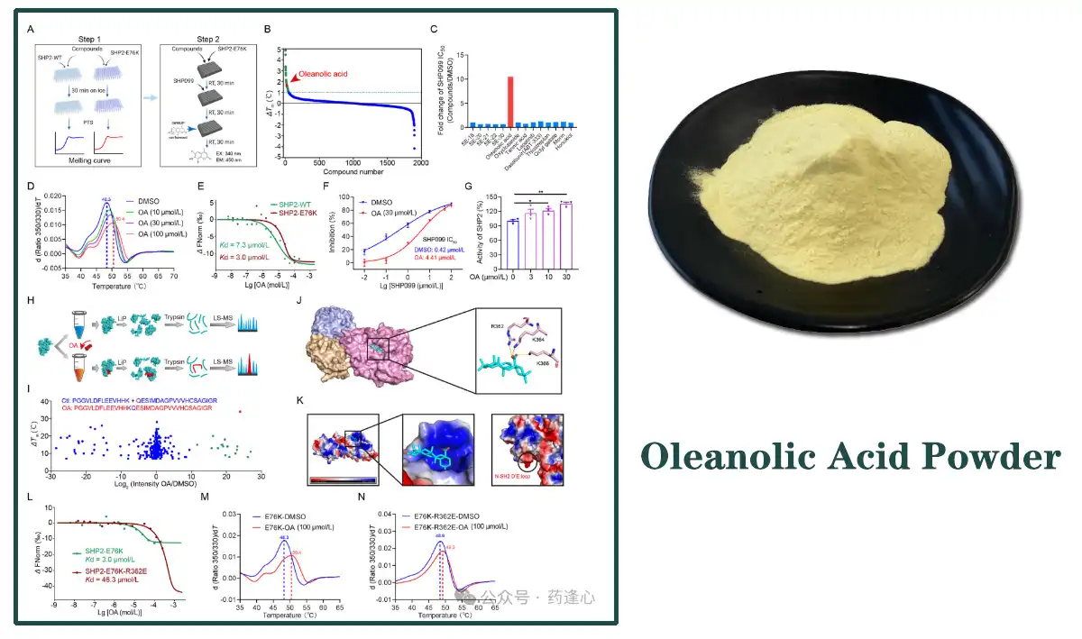 Oleanolic Acid Powder Factoey.jpg